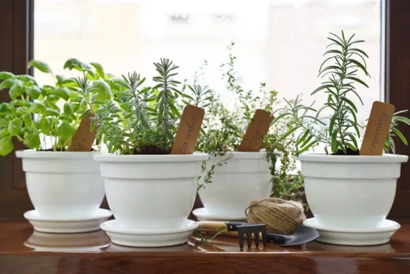 Sunroom Greenhouse Ideas 1024x683 1